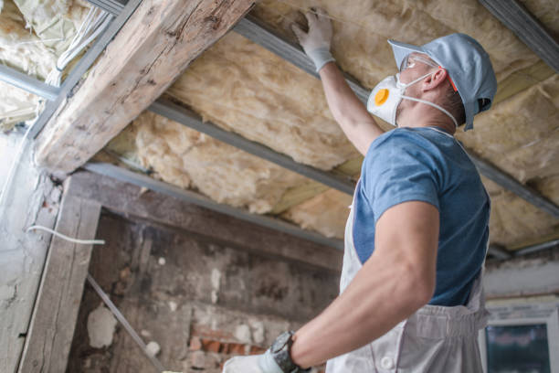 Best Eco-Friendly Insulation in Montclair State University, NJ